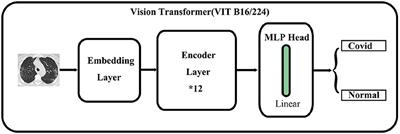 A deep ensemble learning-based automated detection of COVID-19 using lung CT images and Vision Transformer and ConvNeXt